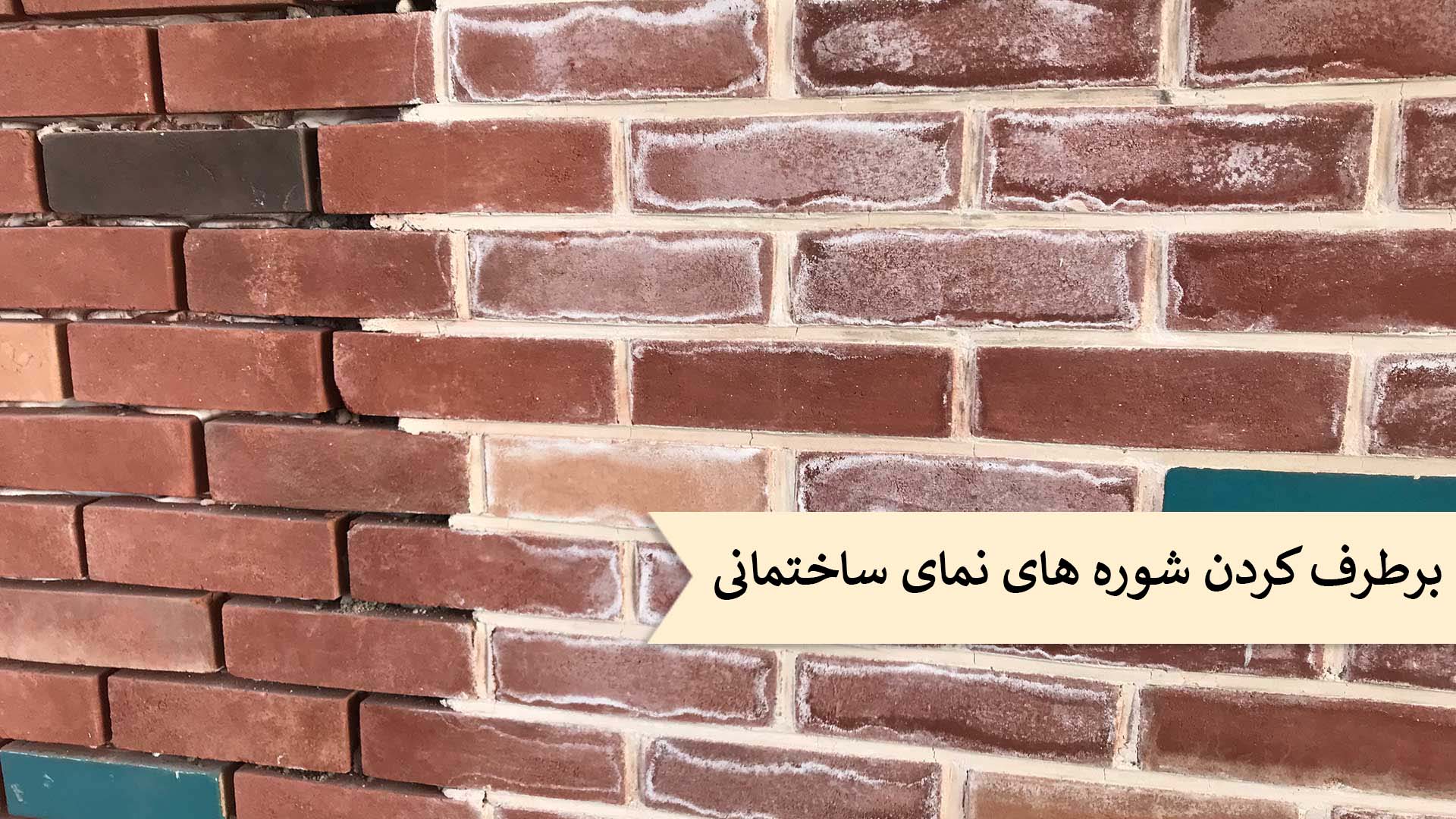 نحوه برطرف کردن شوره های نمای ساختمانی